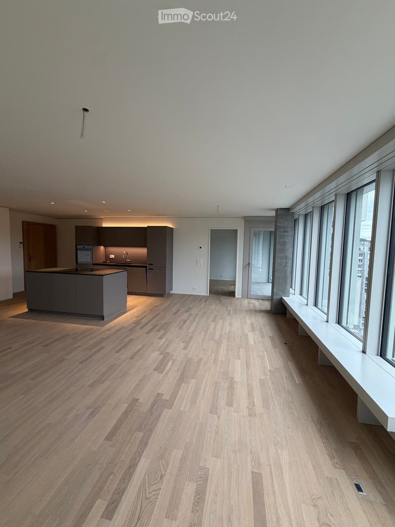 Open-concept kitchen and living area with light wood flooring, modern kitchen island, and built-in cabinets.