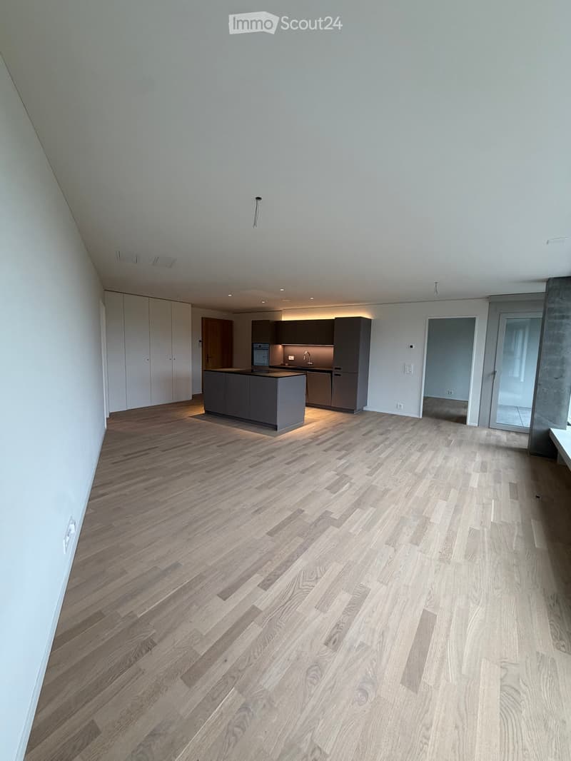 Modern, open-concept kitchen and living area with light wood flooring, sleek grey kitchen island, and built-in cabinets.