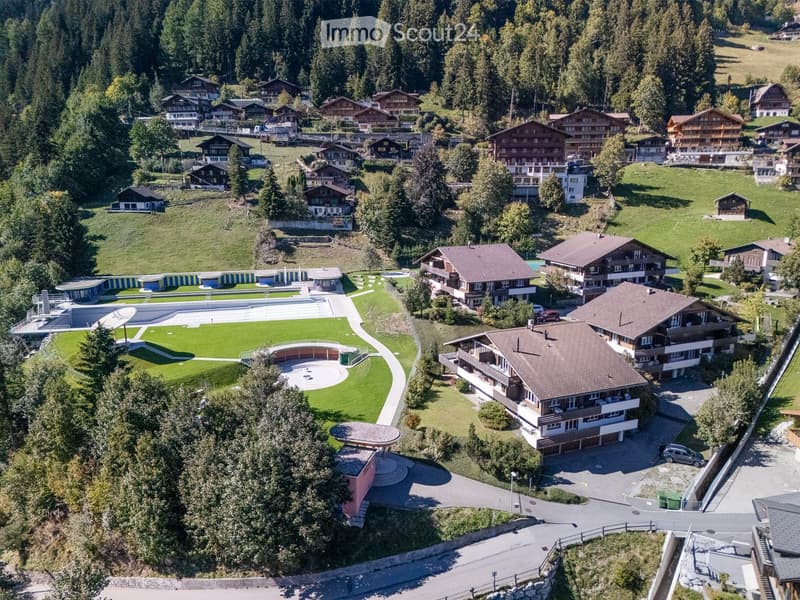 Aerial view of a residential area with multiple houses, green lawns, a swimming pool, and a circular driveway.