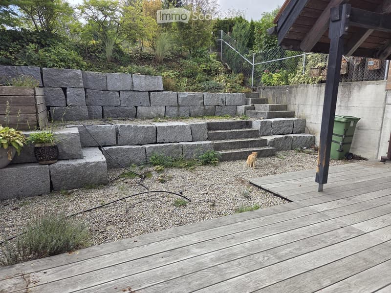 Garden area with stone steps, wooden deck, potted plant, and small cat. Gravel ground and greenery in the background.