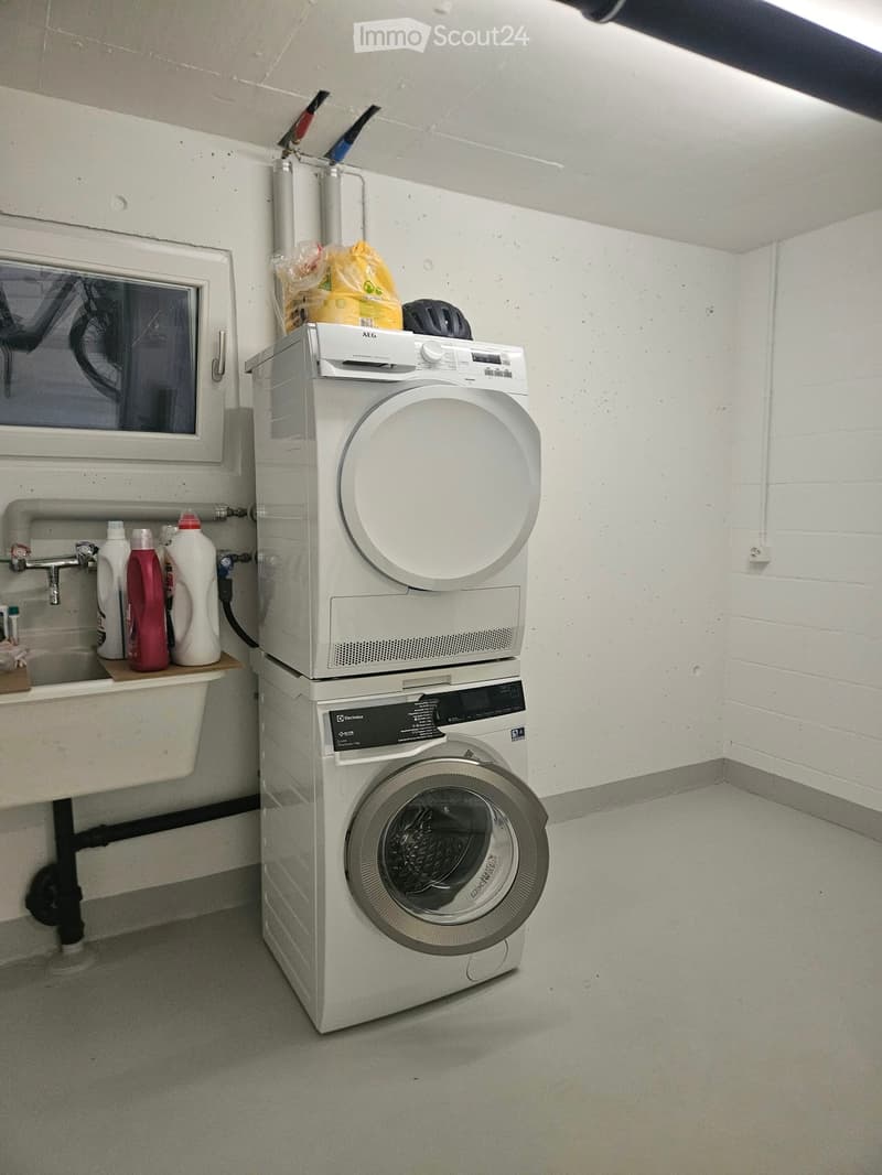 A small utility room with a washing machine, dishwasher, sink, and detergent bottles on a shelf.
