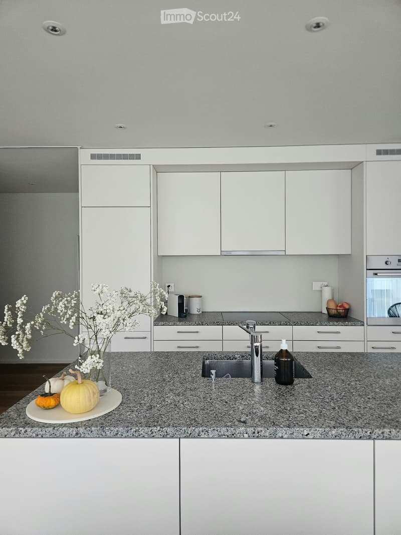 Modern kitchen with white cabinets, granite countertop, stainless steel sink, and decorative pumpkins on the counter.