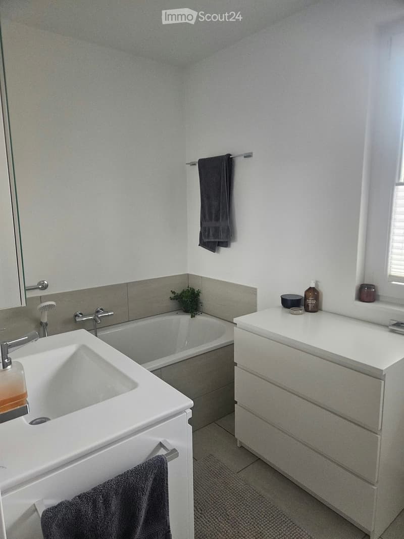 Modern bathroom with a white sink, bathtub, and vanity cabinet. Includes a towel, bottle, and small plant on the edge of the bathtub.