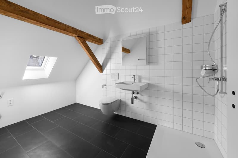Modern bathroom with white tiled walls, black tiled floor, sink, toilet, mirror, and shower area.