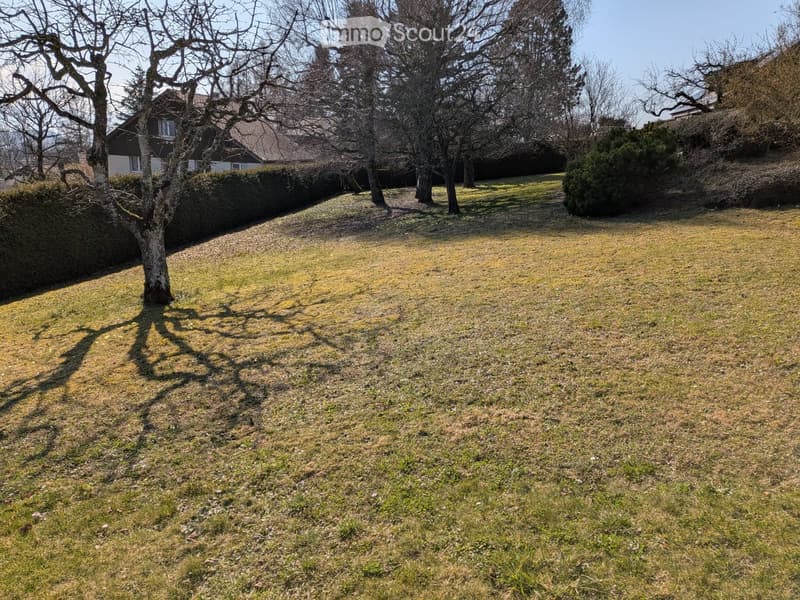 large grassy area with a few trees and bushes, a house in the background