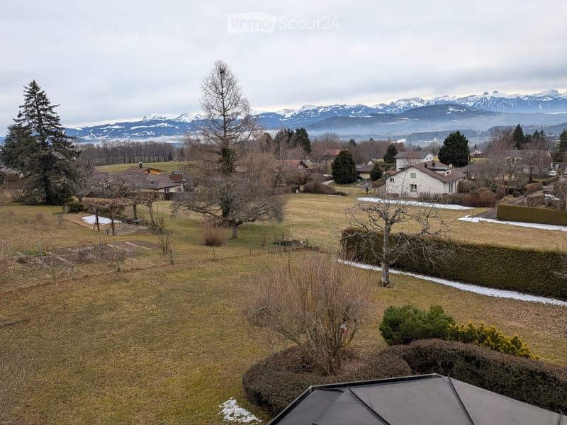 green field with some trees, shrubs and bushes, a shed, several houses in the distance, snow on the mountains