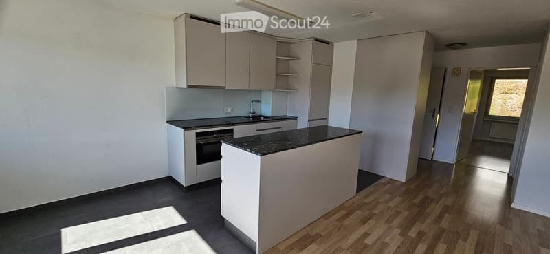 Modern kitchen with white cabinets, dark granite countertop, built-in oven, sink, and faucet. Wooden flooring and open shelving visible.