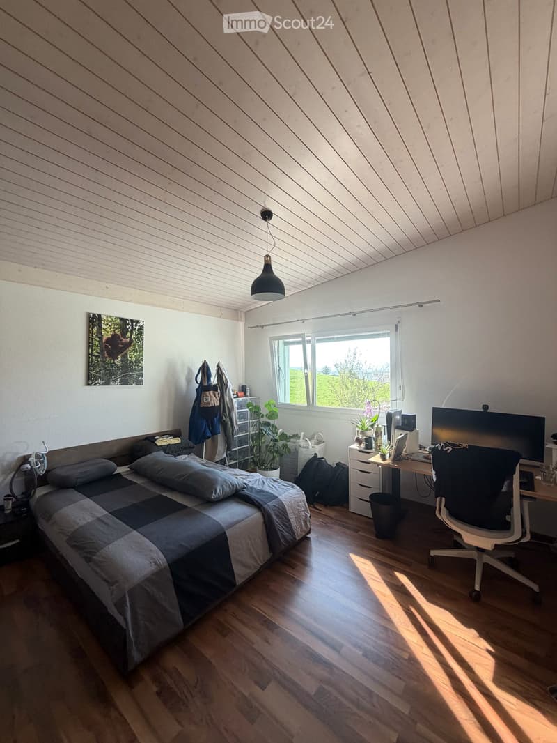 Traumhafte Dachwohnung mit Charme und Riesenbalkon – hell und ruhig (7)