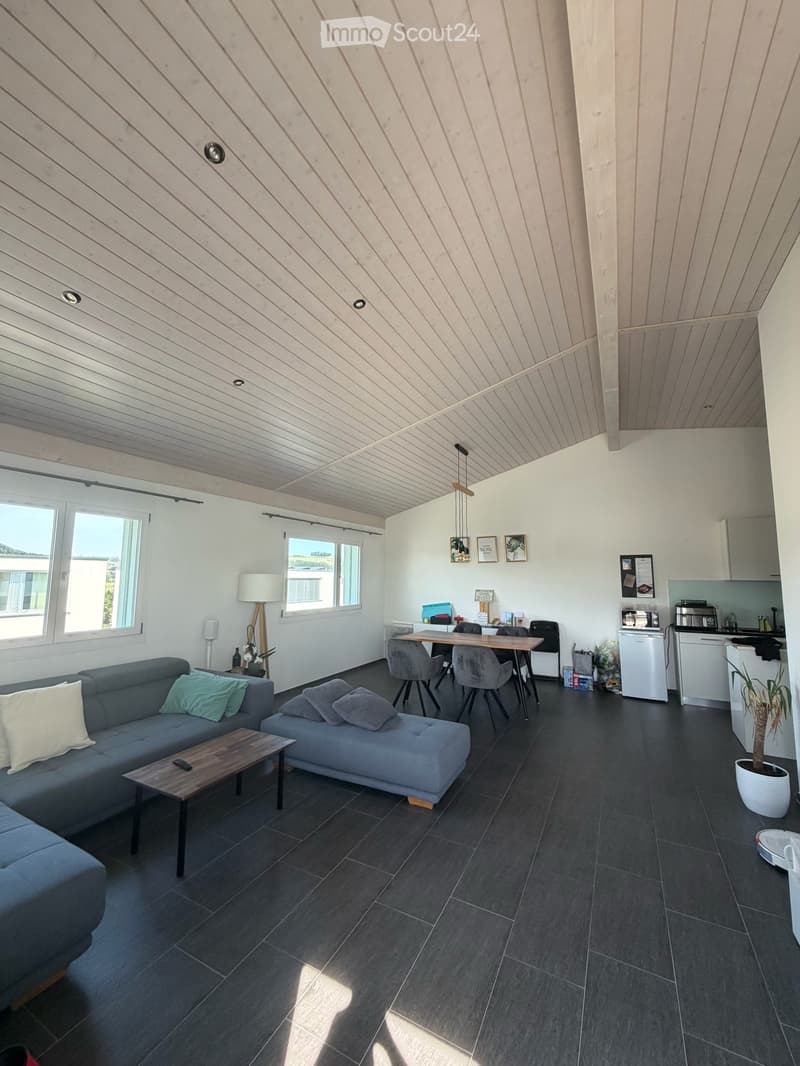 Traumhafte Dachwohnung mit Charme und Riesenbalkon – hell und ruhig (5)