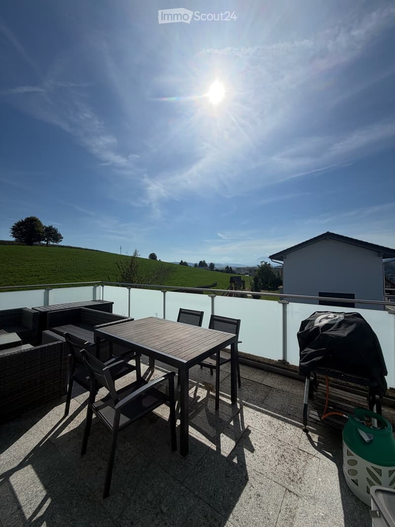 Traumhafte Dachwohnung mit Charme und Riesenbalkon – hell und ruhig (6)