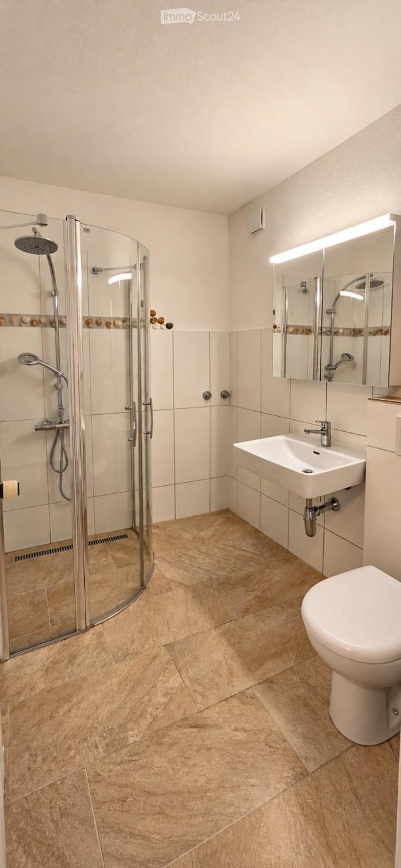 Modern bathroom with a glass-enclosed shower, a white sink, a toilet, and a large mirror with built-in lighting.