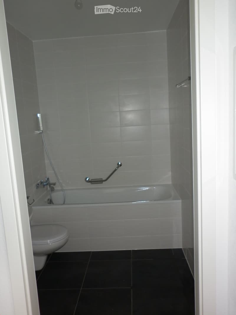 Modern bathroom with a bathtub, toilet, and handheld shower attachment. Grey tiled walls and black tiled floor.