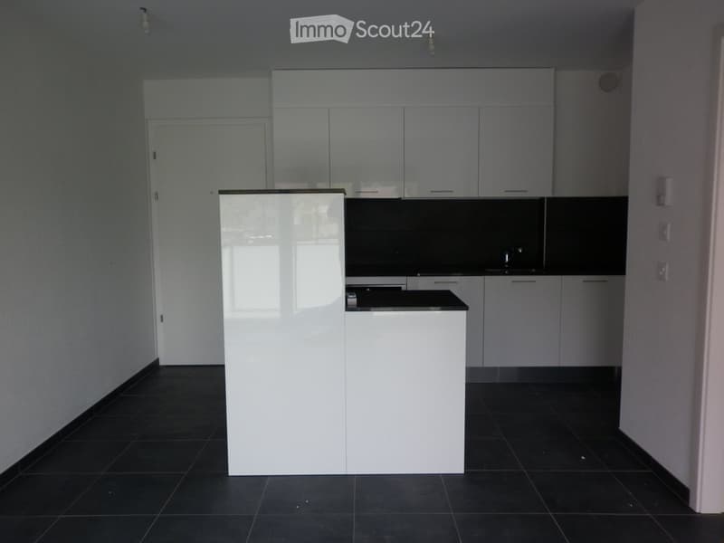 Modern kitchen with white cabinets, black countertop, and dark tiled floor.