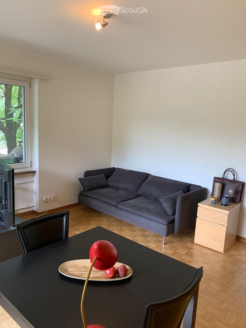 A modern living room with a grey sofa, a black dining table with a red lamp and fruit, a wooden side table with a handbag and cup, and a large window with a view of greenery.