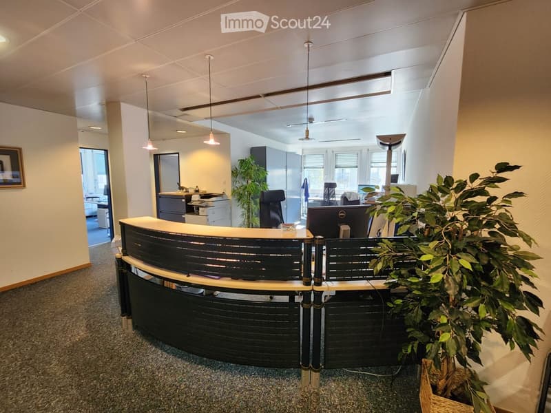Modern office reception area with a curved reception desk, computer monitor, office chair, potted plant, printer, and cabinets in the background.