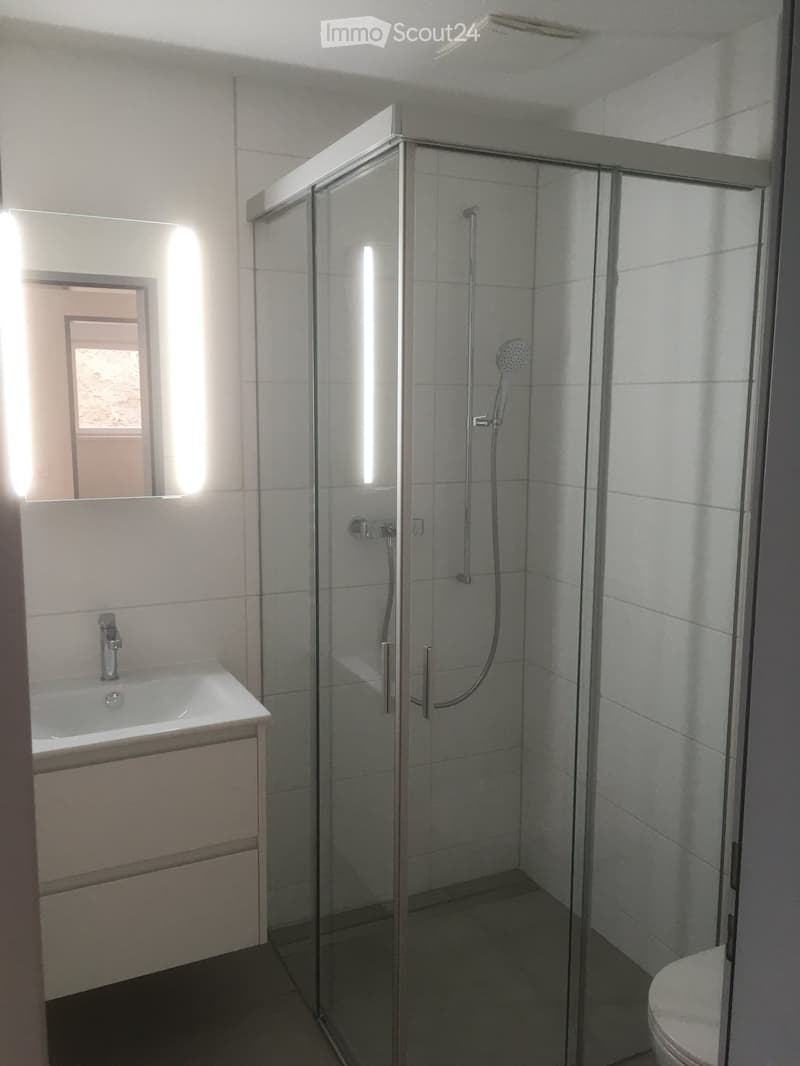 Modern bathroom with a glass-enclosed shower, a sink with a modern faucet, a large mirror, and a toilet. The walls are tiled in white, and the floor is dark.