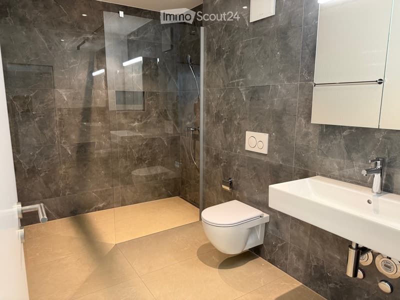 Modern bathroom with dark marble walls, a glass-enclosed shower, a toilet, a sink with a modern faucet, and a mirror above the sink.