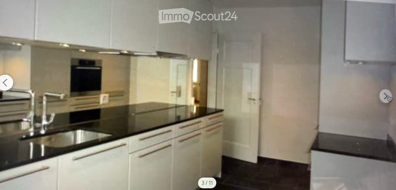 Grosszügige 3.5 Zimmerwohnung, ca. 30 m2 Balkon (8)