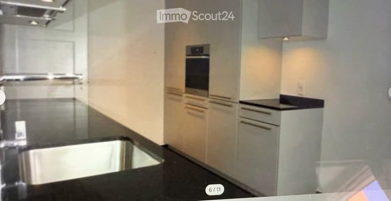 Grosszügige 3.5 Zimmerwohnung, ca. 30 m2 Balkon (9)