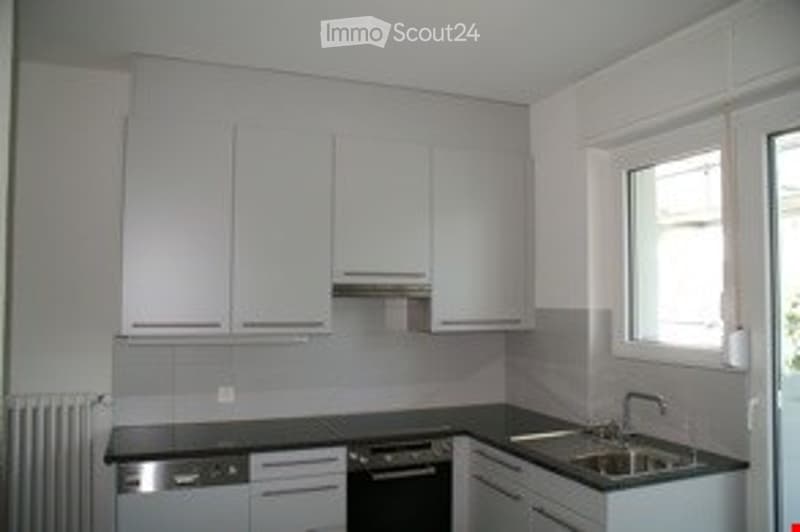 Modern kitchen with white cabinets, stainless steel sink, dishwasher, and tiled backsplash.
