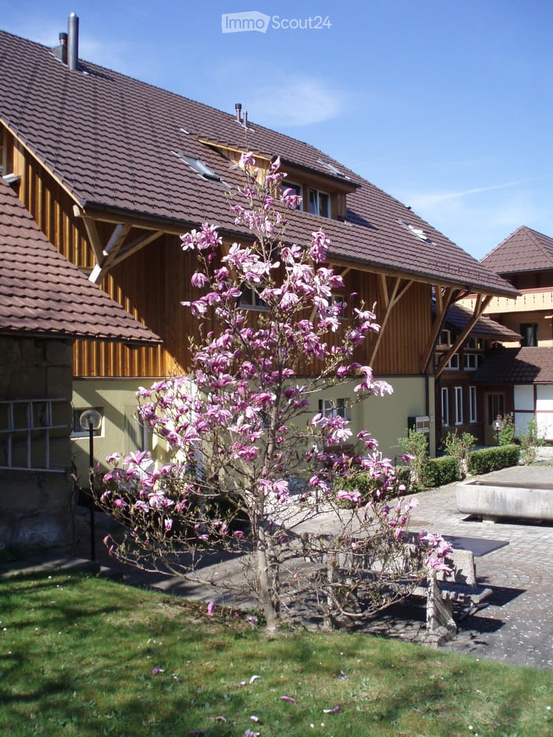 Garden area with a blooming pink magnolia tree, surrounded by a paved pathway and a house with wooden siding and a tiled roof.