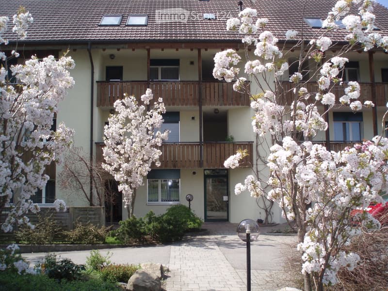 Two-story residential building with balconies, surrounded by blooming cherry trees and a paved walkway.