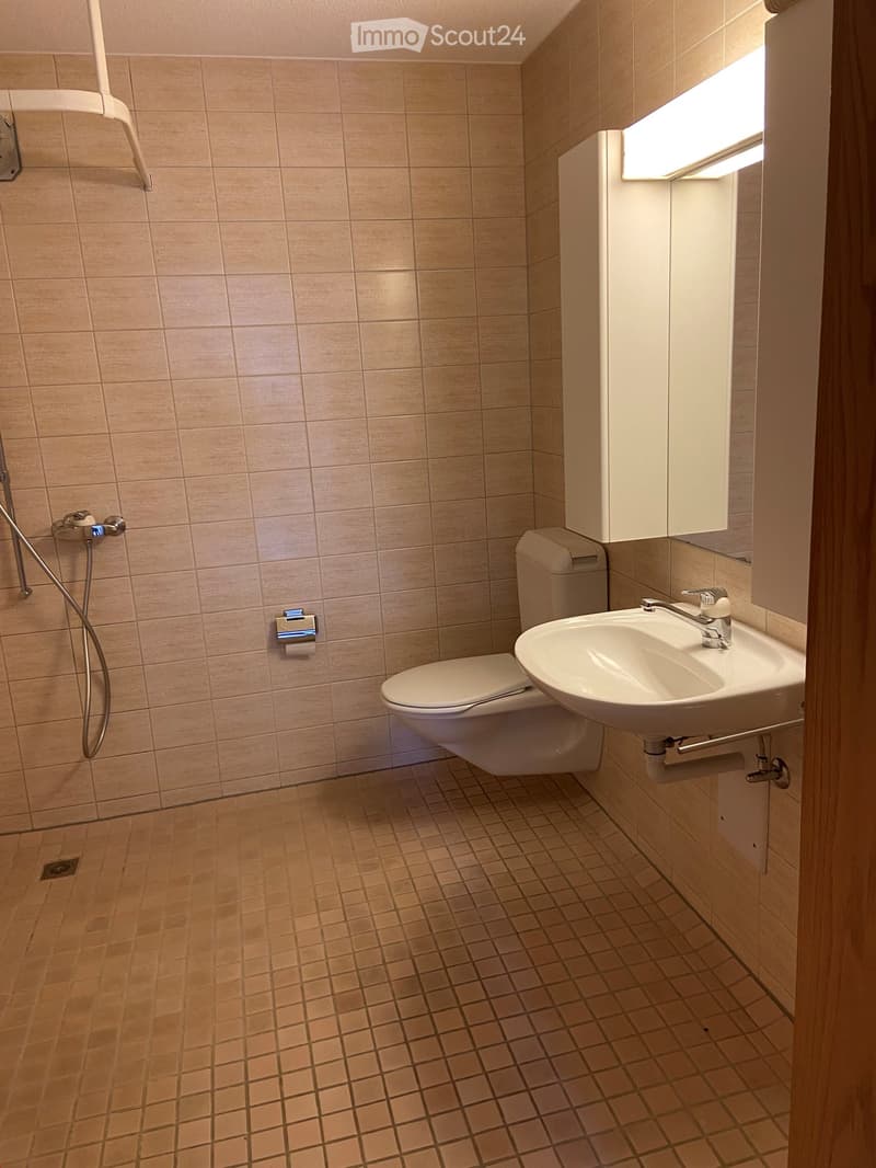 Modern bathroom with beige tiled walls and floor, featuring a toilet, sink with faucet, mirror cabinet, and a handheld shower hose.