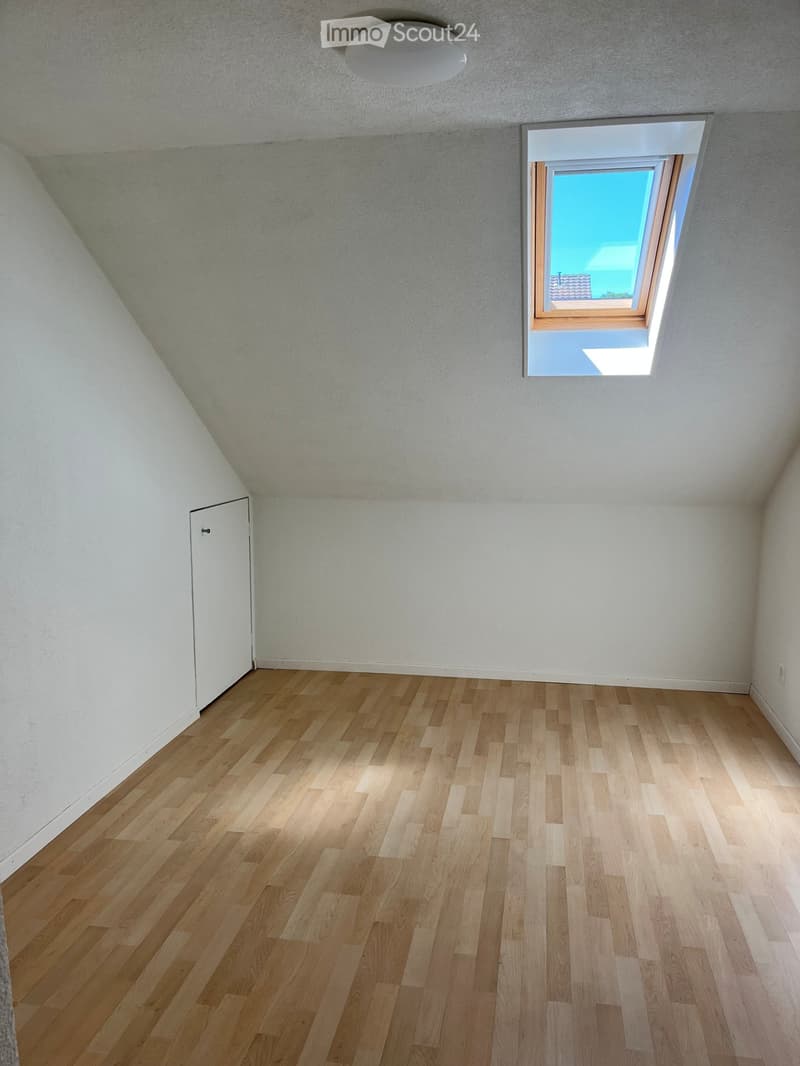Empty room with wooden flooring, white walls, a skylight window, and a white door.