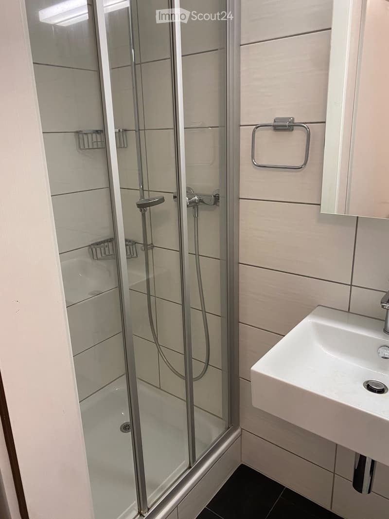 Modern bathroom with a glass-enclosed shower, a white sink with a chrome faucet, and a towel ring on the wall.