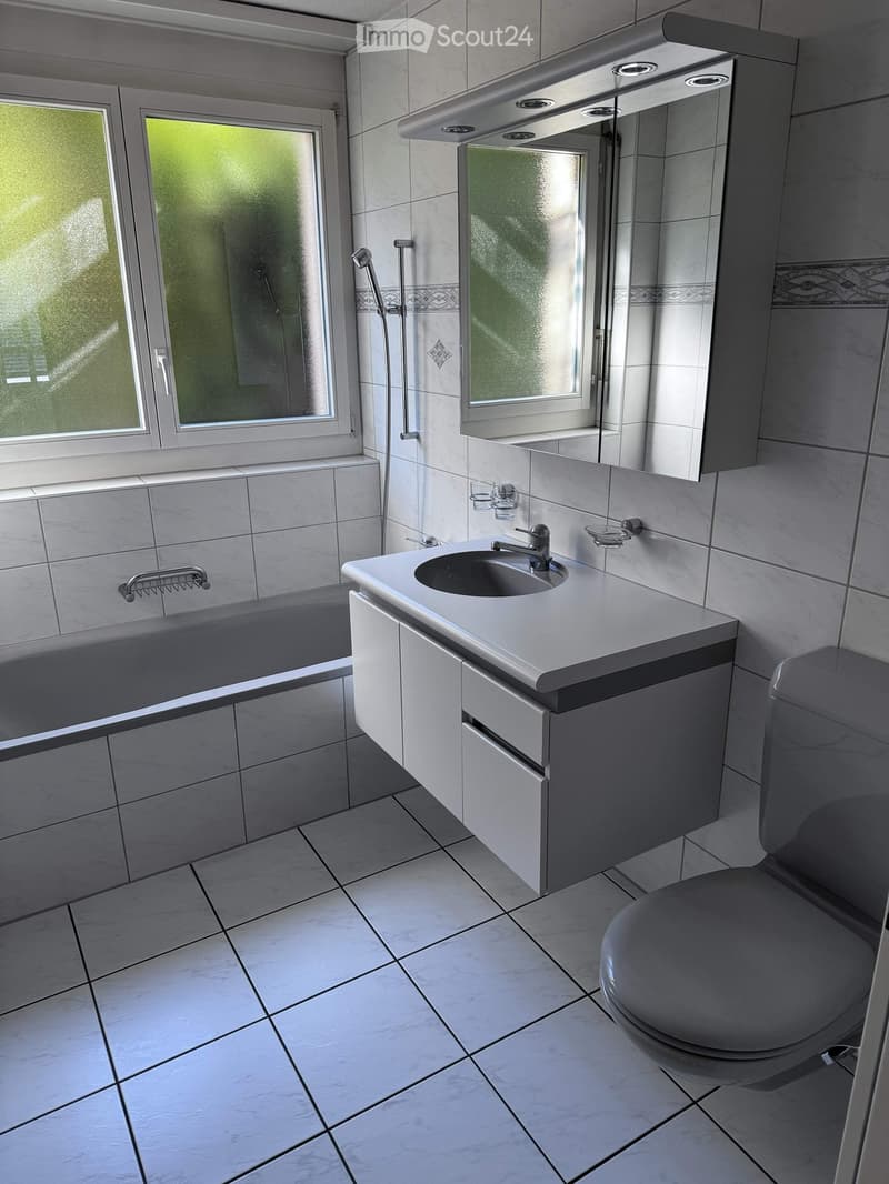 Modern bathroom with white tiles, a sink with a faucet, a toilet, a bathtub, and a large mirror above the sink.