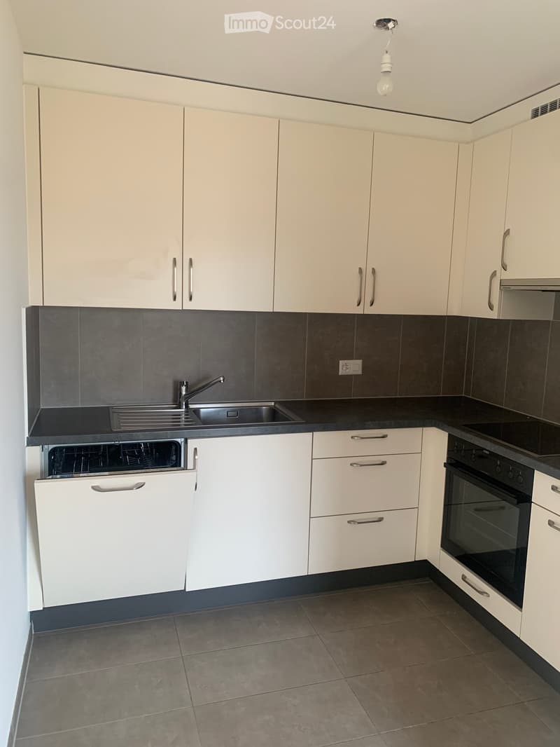Modern kitchen with white cabinets, black countertops, stainless steel sink, and built-in oven and dishwasher.