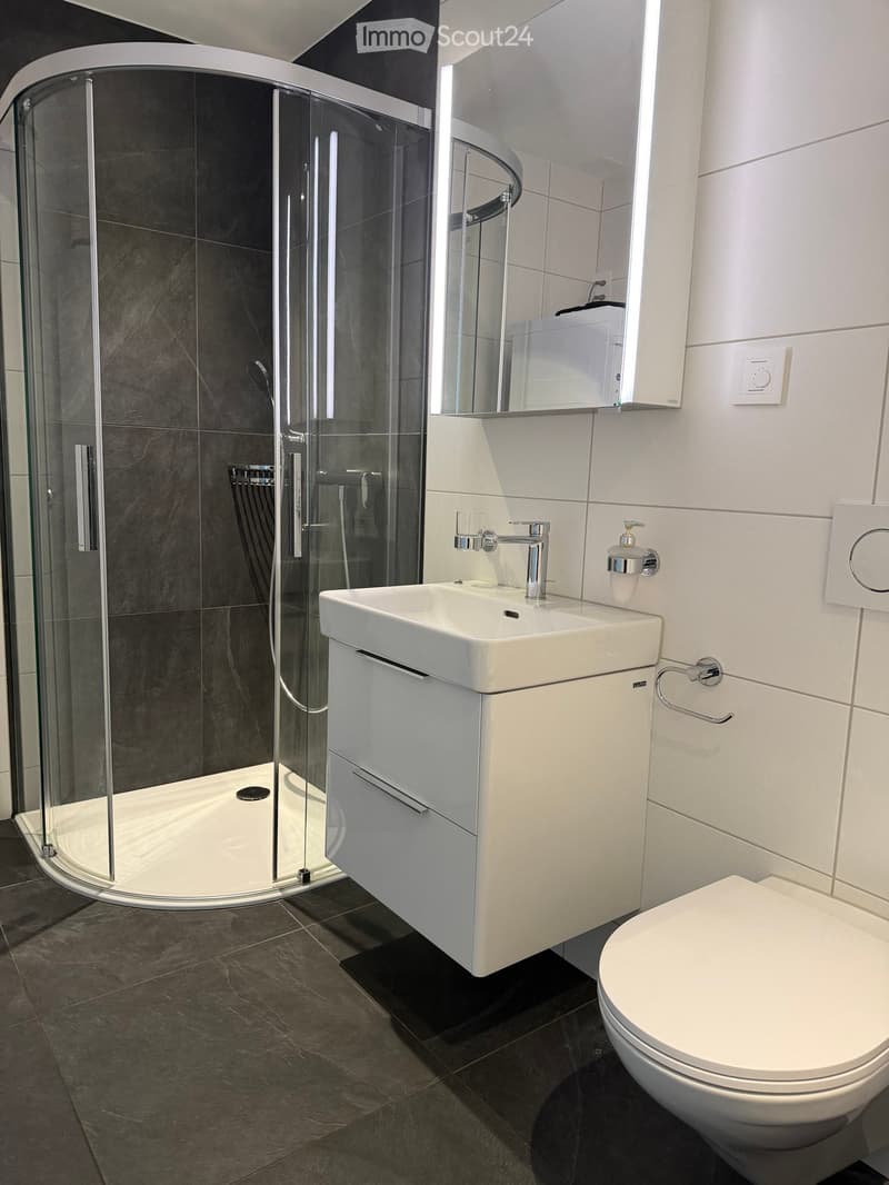 Modern bathroom with a white sink, chrome faucet, toilet, and a glass-enclosed shower with dark tiles.