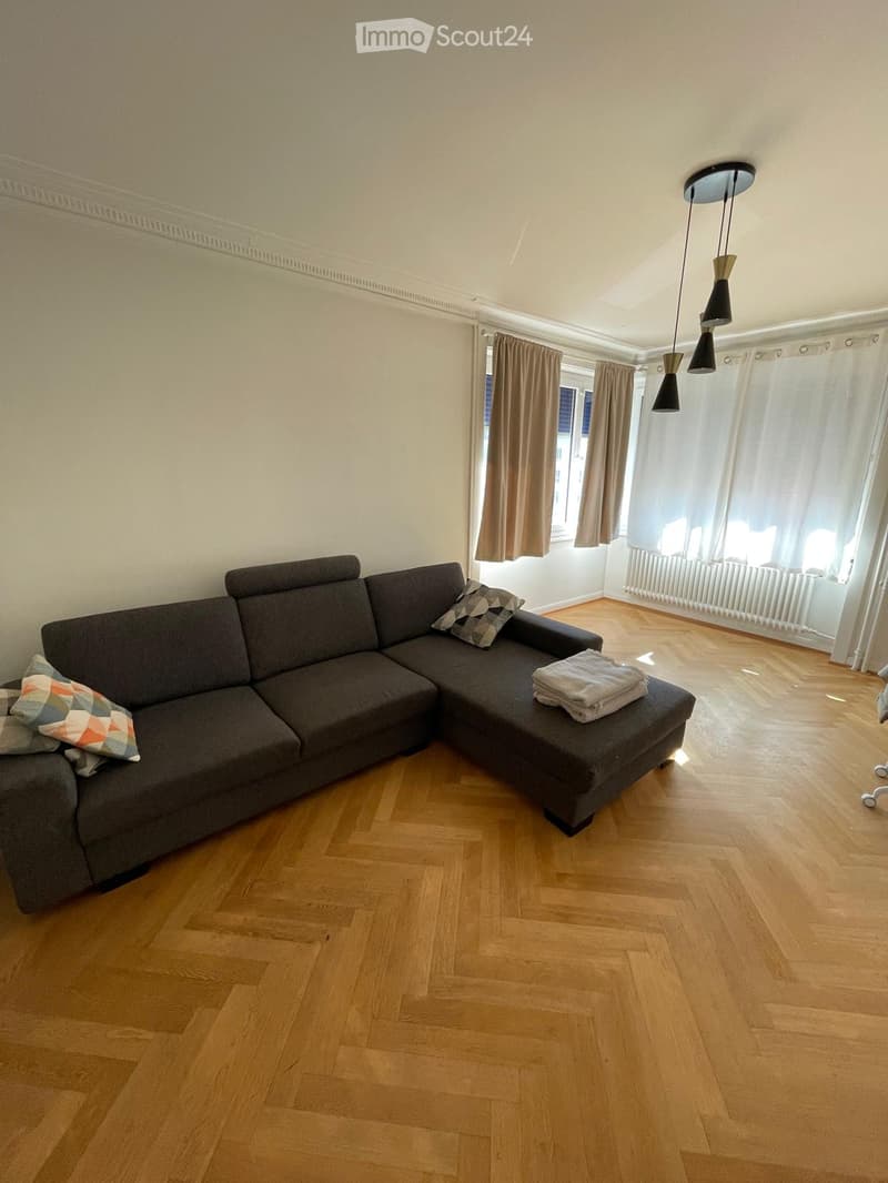 Living room with a grey sectional sofa, patterned pillows, wooden floor, large windows with curtains, radiator, and modern pendant lights.