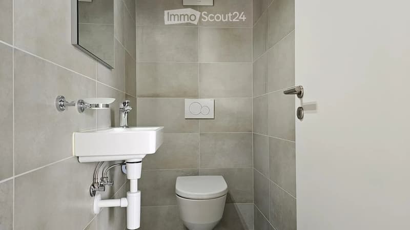 Modern bathroom with a white sink, chrome faucet, toilet, and a mirror on the wall.