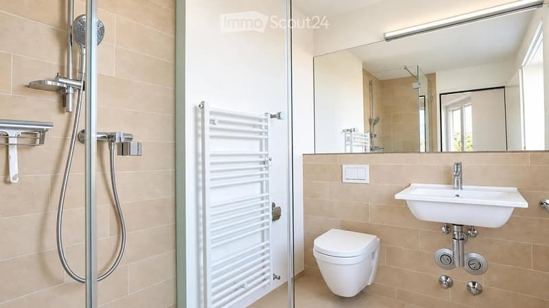 Modern bathroom with a glass-enclosed shower, a white sink, a toilet, a large mirror, and a heated towel radiator.