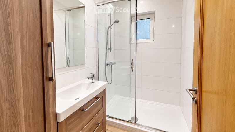 Modern bathroom with a white tiled shower enclosure, a sink with a wooden cabinet, and a large mirror.