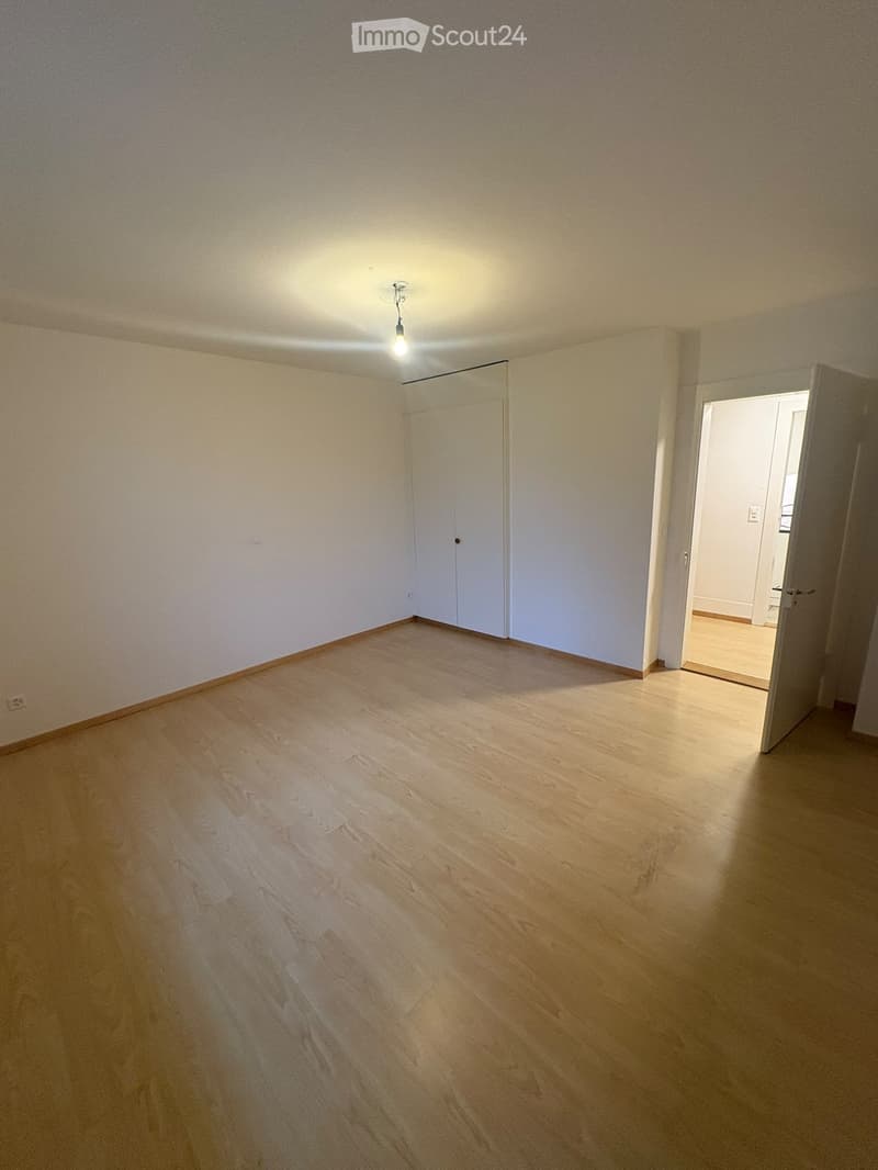 Empty room with light wooden flooring, white walls, and a single ceiling light fixture. A closed white closet is visible on one wall, and an open doorway leads to another room.