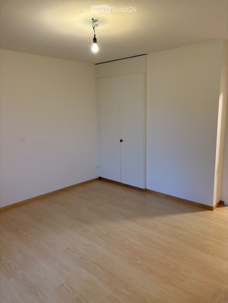 Empty room with light wooden flooring, white walls, and a single built-in closet. The room is illuminated by a single hanging light fixture.