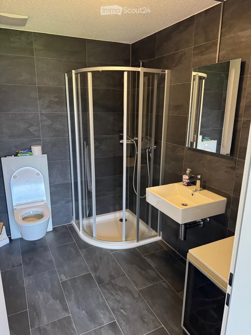 Modern bathroom with dark tiled walls and floor, featuring a corner shower with glass enclosure, a white toilet, a sink with a modern faucet, and a mirror above the sink.