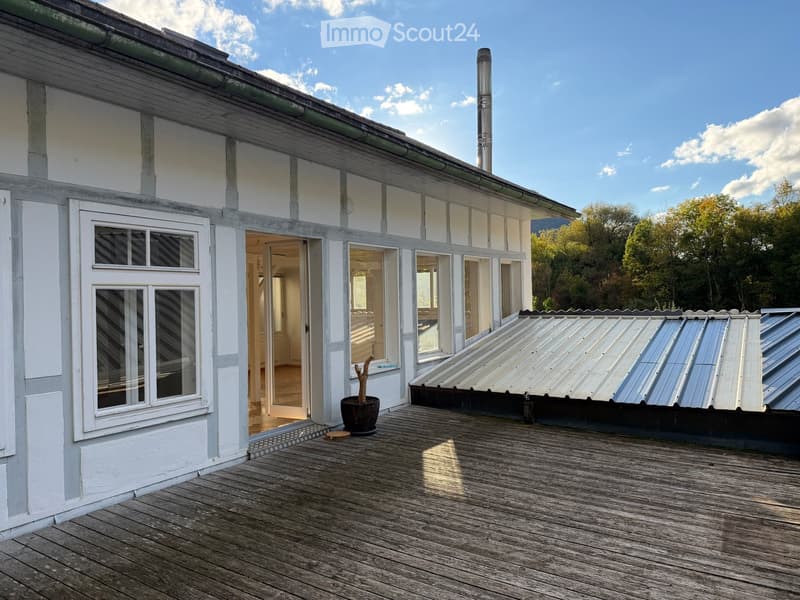 Wooden deck attached to a white building with large windows, featuring a small potted tree and a metal roof section.