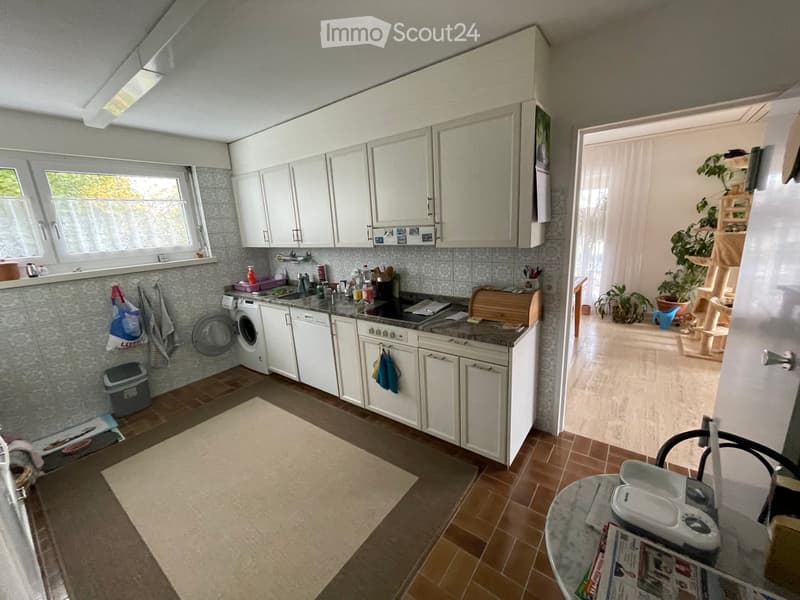 The kitchen features white cabinets, a sink, a dishwasher, an oven, and a refrigerator. A washing machine is visible, along with a small table and a cat tree in the adjacent area.
