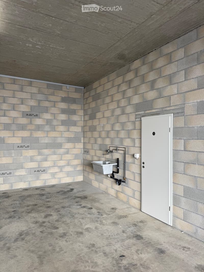 Empty room with brick walls, concrete floor, and a single sink with a faucet. The room has a white door and a wooden ceiling.