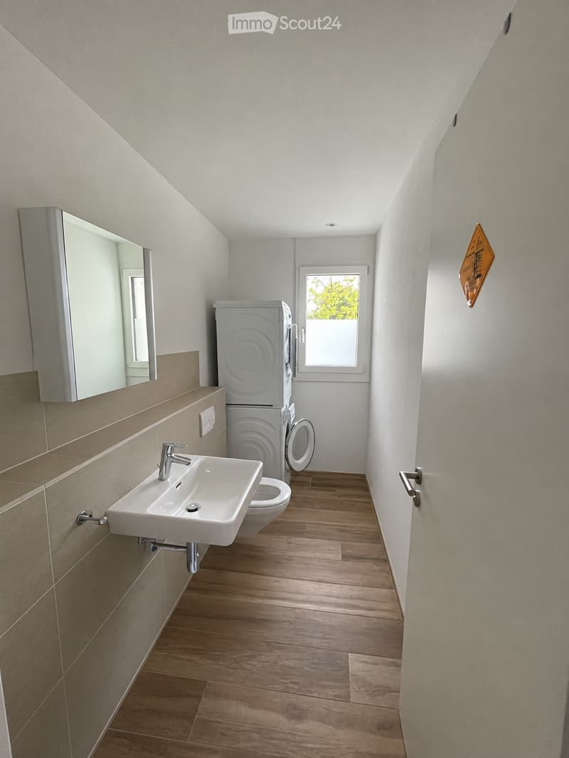Modern bathroom with wooden flooring, white sink, chrome faucet, mirror, toilet, and washing machine. Light-colored walls and a window provide natural light.