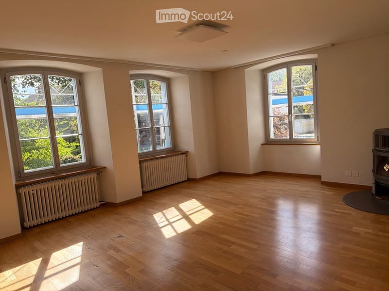 Empty room with wooden flooring, large windows, radiators, and a fireplace in the corner.