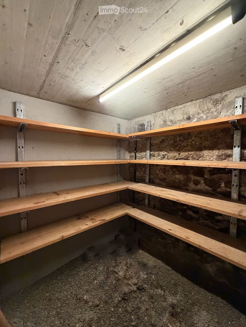 Empty storage room with wooden shelves and exposed concrete walls, illuminated by a single fluorescent light fixture.