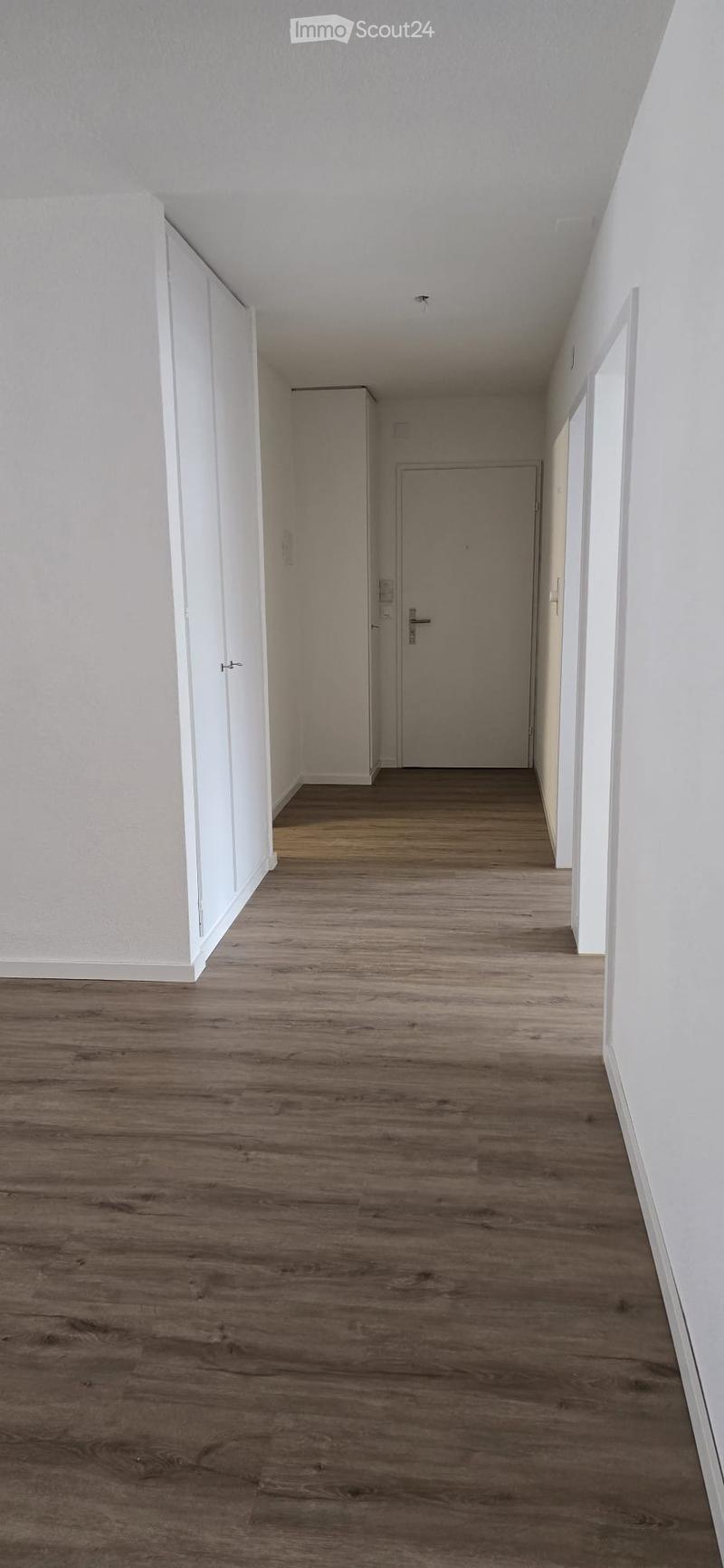 Empty hallway with wooden flooring, white walls, and a closed door at the end.