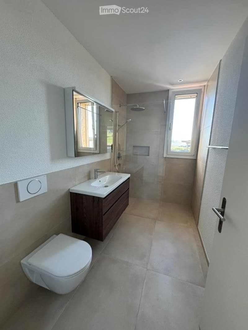 Modern bathroom with a white toilet, dark wood vanity with a sink, a large mirror, and a glass-enclosed shower area.