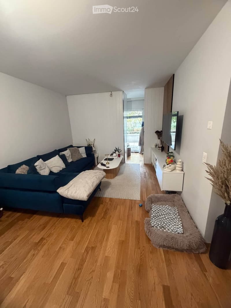 Modern living room with wooden flooring, a blue sectional sofa, a coffee table, a dog bed, a side table with a TV, and decorative vases.