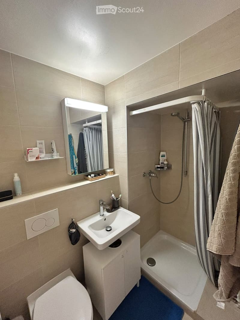 Modern bathroom with a white sink, mirror, toilet, and shower area. Features include a towel, toothbrush holder, and a small cabinet under the sink.