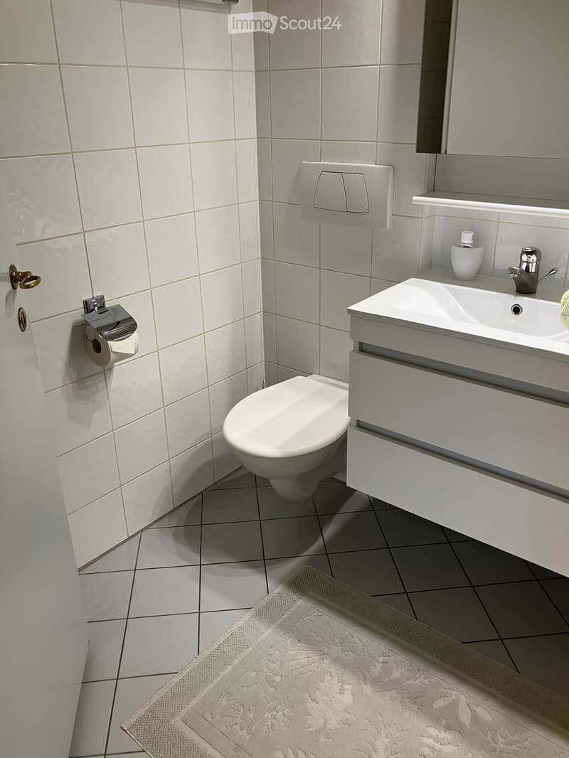 Modern bathroom with white tiles, a toilet, a sink with a modern faucet, a mirror, a toilet paper holder, and a decorative bathroom rug on the floor.